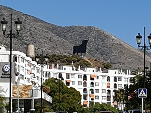 View of the Osborne Bull. The World's Most Uninspiring Walking Tour​.