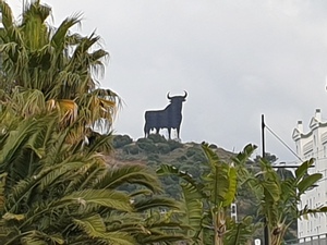 The Osborne Bull. The most uninspiring walking tour in the world